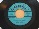 BUDDY HOLLY Raining In My Heart/It Doesn't Matter Anymore 45 (Coral Promo) HEAR