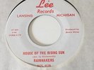 THE RAINMAKERS MICHIGAN GARAGE ON LEE RECORDS LABEL DO YOU FEEL IT /HOUSE