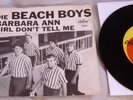 The Beach Boys 