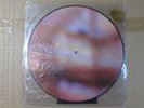 THE BLOOD BROTHERS march on electric children PICTURE DISC LP mint new