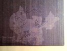 New Order: Autographed Brotherhood LP '86 Guaranteed Authentic Signed Cover Only