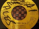Al & The Vibrators I'll Come Back JA 7