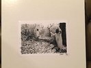 Sunn O))) White Box LTD 500 Boris Melvins Isis Neurosis Southern Lord