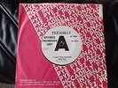 THE LOVING KIND - I LOVE THE THINGS YOU DO - 1966 - DEMO- PICCADILLY - POP/BEAT