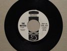 WATERS Day In And Out /Mother Samwell 1969  KENTUCKY GARAGE 45 DELCREST