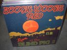 BOOGIE WOOGIE RED live at blind pig ( blues )