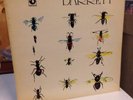 1970   Syd Barrett   Barrett   LP   UK Press   Laminate   Psych   EMI