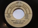 Johnnie Taylor - What About My Love/ Reaganomics - SOUL 45