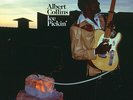 Albert Collins - Ice Pickin' [New Vinyl LP] 180 Gram, Digital Download