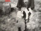 SEBADOH III 2LP (Indie Rock 1991 Homestead NM Vinyl) Ex