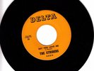  The Striders 45 Say You Love Me/Give Me A Break DELTA private garage HEAR EX