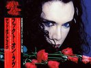 DEAD OR ALIVE/Pete Burns JAPANESE 12