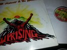 Bob Marley and the Wailers Uprising Jamaican Original Tuff Gong
