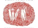 Burn Your Fire For No Witness - OLSEN ANGEL [LP]