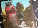 J. J. Cale *** naturally vinyl Lp *** original pressing *** shelter records ***