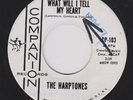 The Harptones 