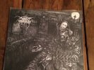 Darkthrone Lp, Carpathian Forest, Taake, Urgehal, Satyricon