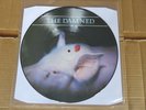 THE DAMNED Strawberries RARE 1986 ORIGINAL UK PICTURE DISC LP DOJOPD46