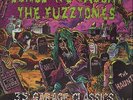 2xLP Sonics, Shadows Of Knight, Godz... Songs We Taught The Fuzztones Way Bac