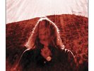 Ty Segall Manipulator 2xLP vinyl record sealed reissue thee oh sees jay reatard