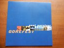 GOREFEST - SOUL SURVIVOR - GERMAN LP - VINYL 12