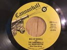 Big Lee Dowell And The Cannonballs Feat. Maxim Moston - What I Done Wrong/Inst.