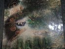 A SAUCERFUL OF SECRETS MONO BLUE COLUMBIA LABEL SX6258