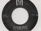 THE DONTELLS-IN YOUR HEART(CLASSIC)-VEE-JAY-***NICE COPY***