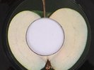 BEATLES-Super Rarity-BLANK APPLE LABEL-McCARTNEY 
