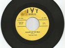 Rare 45 R&B/Doowop Ivy-101 Deltairs