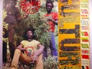 CULTURE International Herb ORIG 12