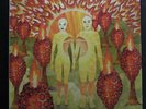 Of Montreal - The Sunlandic Twins 2 LP VG+ PRC-088-1 1st w/Etched EP Record