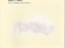 Built To Spill - There's Nothing Wrong With Love [Vinyl New]