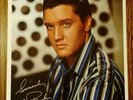 1968 Elvis Speedway LP Bonus Photo ONLY Great Condition Original