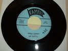 OKLAHOMA GARAGE 45 RPM RECORD - THE SKEPTICS - KAMPUS 814
