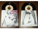 AROKANTO - Brigitte Bardot Rare Finland PS 7' Pop Eurogroove