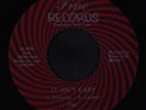 BLADES OF GRASS: It Isn't Easy / My Someone 45 (close to M-) Rock & Pop