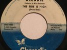 BLONDIE - The Tide Is High / Susie And Jeffrey - RARE PANAMA 45 #13