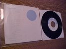 GEORGE HARRISON Beatles 1974 Dark Horse 45 Picture Sleeve Curve Cut Apple 1877