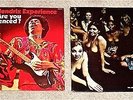 RARE JIMI HENDRIX LP's: Are you Experienced?/Electric Ladyland from UK & France