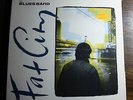 The Blues Band - Fat City - RCA Rec.PL75100   ( Vinyl, Record )
