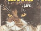 LIFE Cat's Eyes GREAT COSMIC DISCO SOUL FUNK PROG ROCK French 45
