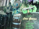 Ervin Groves/Composer in Paradise RARE Private Hawaiian