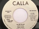 THE FUZZ - I'M SO GLAD - DEMO - LISTEN