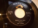 ROY GAINES skippy is a sissy / weeping willow ROCKABILLY 45 RCA 1958 VG++