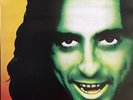 Alice Cooper - Goes To Hell - Vinyl LP 33T