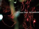 Tallahassee - Mountain Goats (2008, Vinyl NEW)