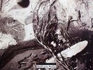 David Sylvian Secrets Of The Beehive Virgin Vinyl LP