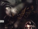 Method Man - Tical '94 LP US ORG  RZA Raekwon Wu-Tang Clan