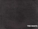 Roots, The - Organix '93 2xLP UK ORG  ?uestlove Scott Storch